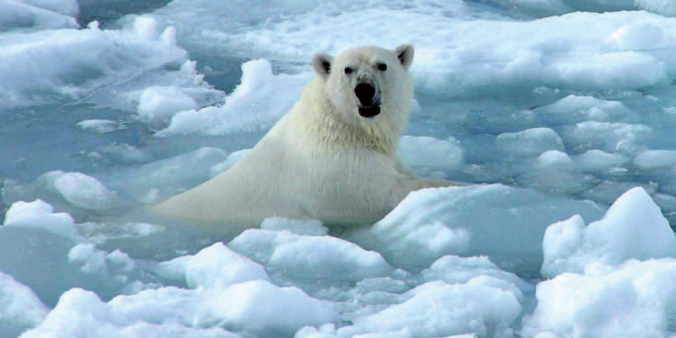 …and climate change… Persistent chemtrails contribute to global warming