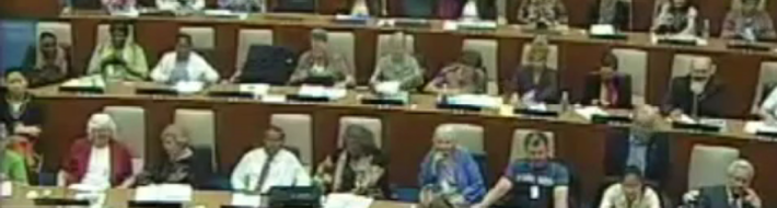 Dr Rosalind Peterson addressing the UN forum on Global Warming Rosalind Peterson Presents Chemtrails at UN Session on Global Warming